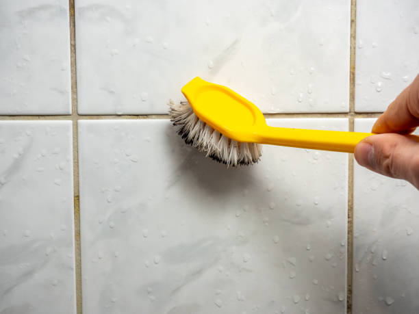 Best Professional Mold Removal  in Adrian, MI