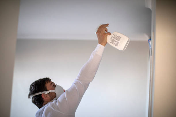 Best Best Mold Removal Companies  in Adrian, MI