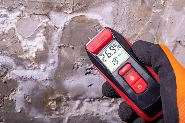 Trusted Adrian, MI Mold Removal Experts