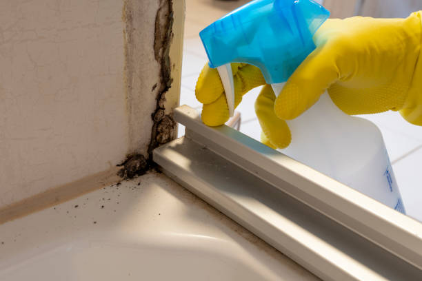Best Residential Mold Removal  in Adrian, MI