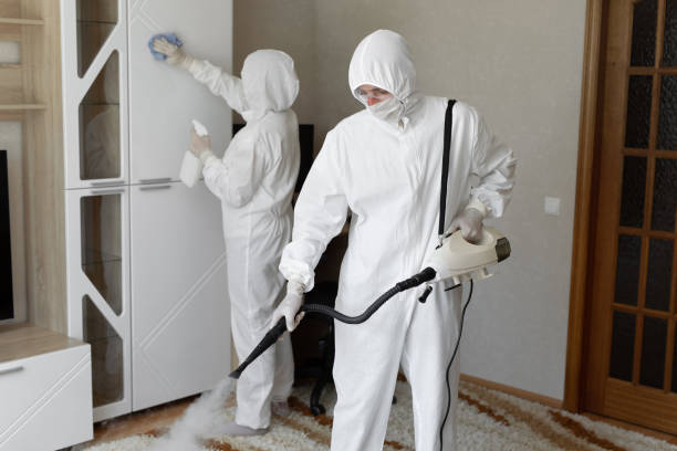 Best Toxic Mold Removal  in Adrian, MI