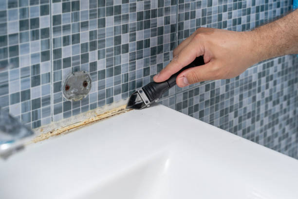 Best Certified Mold Removal  in Adrian, MI