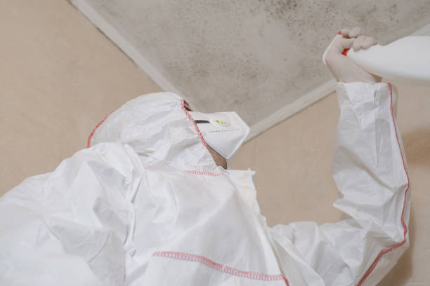 Best Affordable Mold Removal  in Adrian, MI