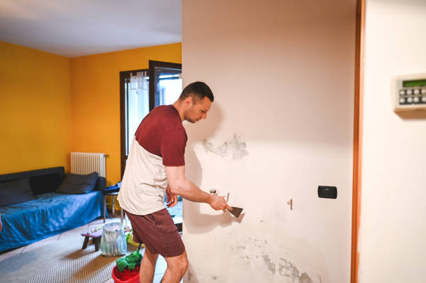 Best Local Mold Removal Service  in Adrian, MI