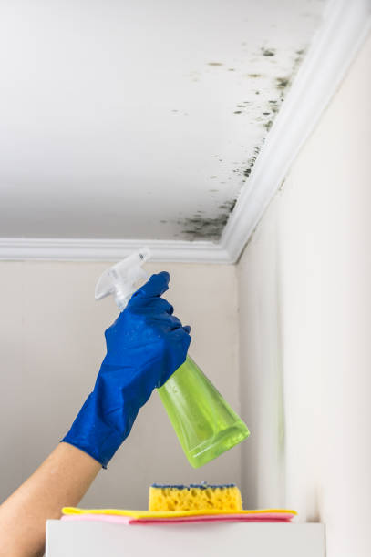 Best Mold Testing  in Adrian, MI